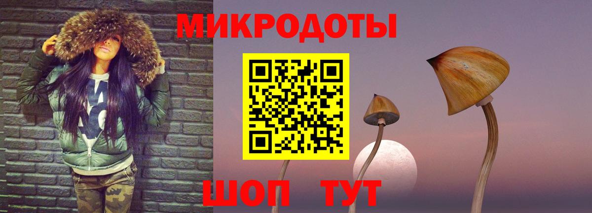Чайковский  Галлюциногенные грибы Psilocybe  Вход с VPN  Псилоцибиновые грибы Cubensis 
